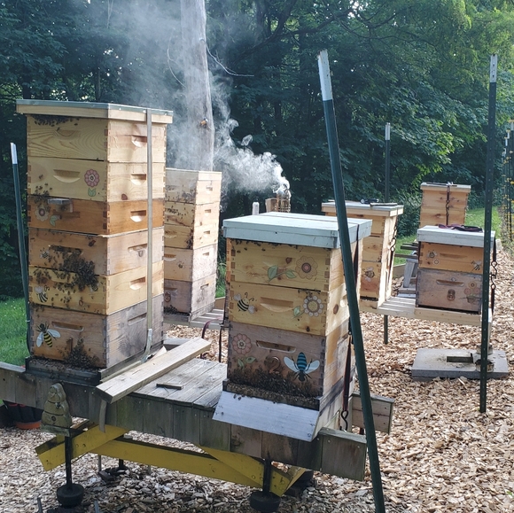 Spring & Fall Honey for sale! - Picture 3 of 15